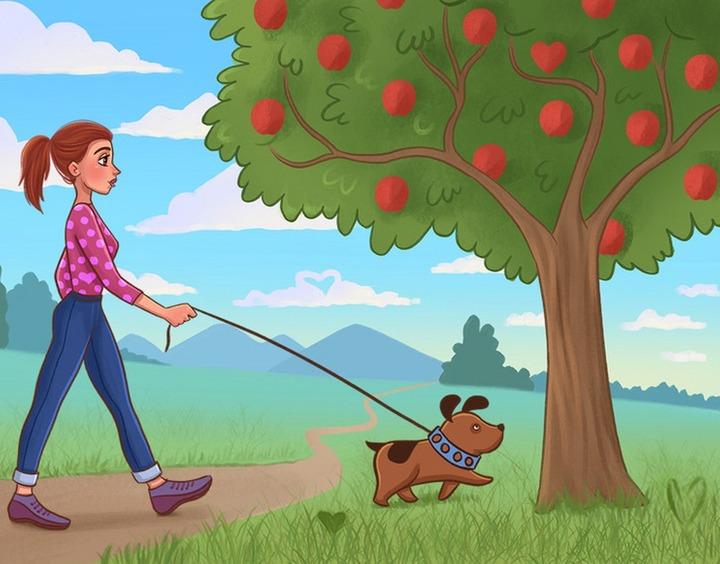 Tìm ra 5 hình trái tim trong 30 giây, bạn đích thị là người siêu tinh mắt-1