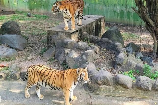 Thanh niên tìm cảm giác lạ trong cơn say khiến cậu nhỏ kẹt trong bạc đạn-3