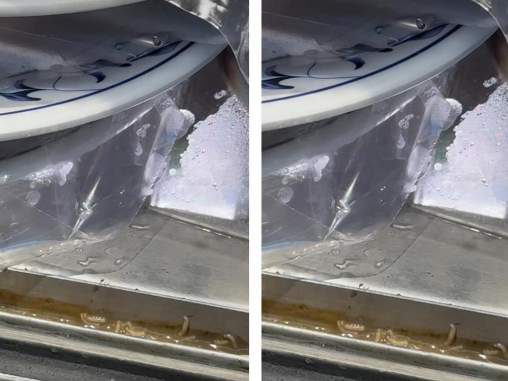 Nhà hàng lẩu nổi tiếng bị thực khách tố có giòi trong tủ lạnh-1