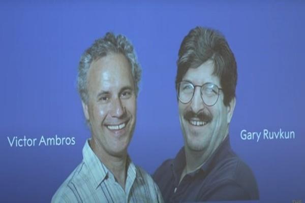 Trai đẹp bị trục xuất từng làm bao chị em điêu đứng, nhan sắc hiện tại ra sao?-10