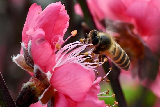 Tiếp tục đề xuất tăng ngày nghỉ lễ, Tết trong năm cho người lao động