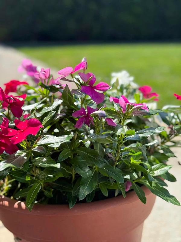 Hậu chia tay DJ đình đám, người đẹp Hương Phù Sa có cuộc sống lột xác bên chồng doanh nhân Việt kiều-9