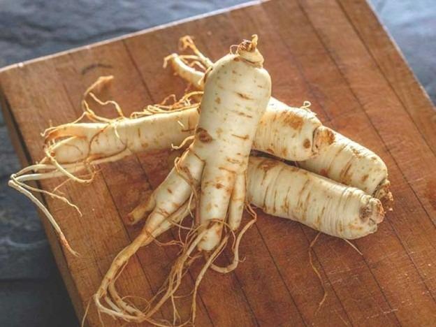 Nhân sâm đại kỵ với những người này, chớ dại dùng kẻo tiền mất tật mang-1