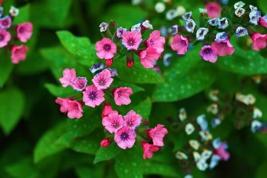 15 ngày tới, 3 con giáp phất lên giàu có