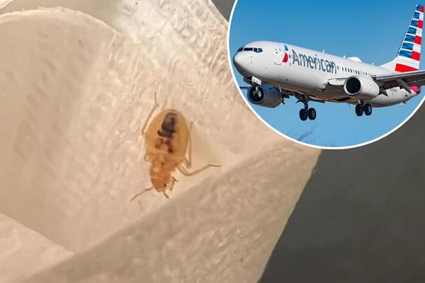 Bị ngồi gần người hôi chân trên máy bay, nữ hành khách liền xin tiếp viên hàng không 1 thứ-4