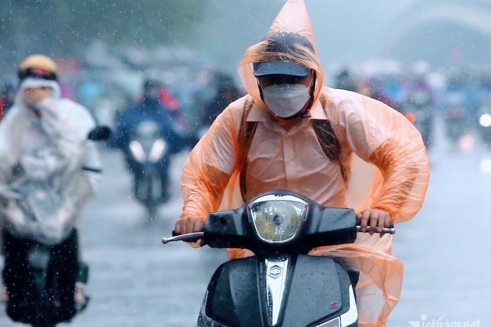 Hải Phòng cấm các trường ‘ép’ học sinh học thêm giáo dục STEM, toán tư duy-2