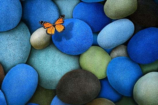 Nước chảy chỗ trũng, trong 6 ngày (15 đến 20/9 âm lịch), 3 con giáp lắm phúc nhiều phần, giàu càng thêm giàu