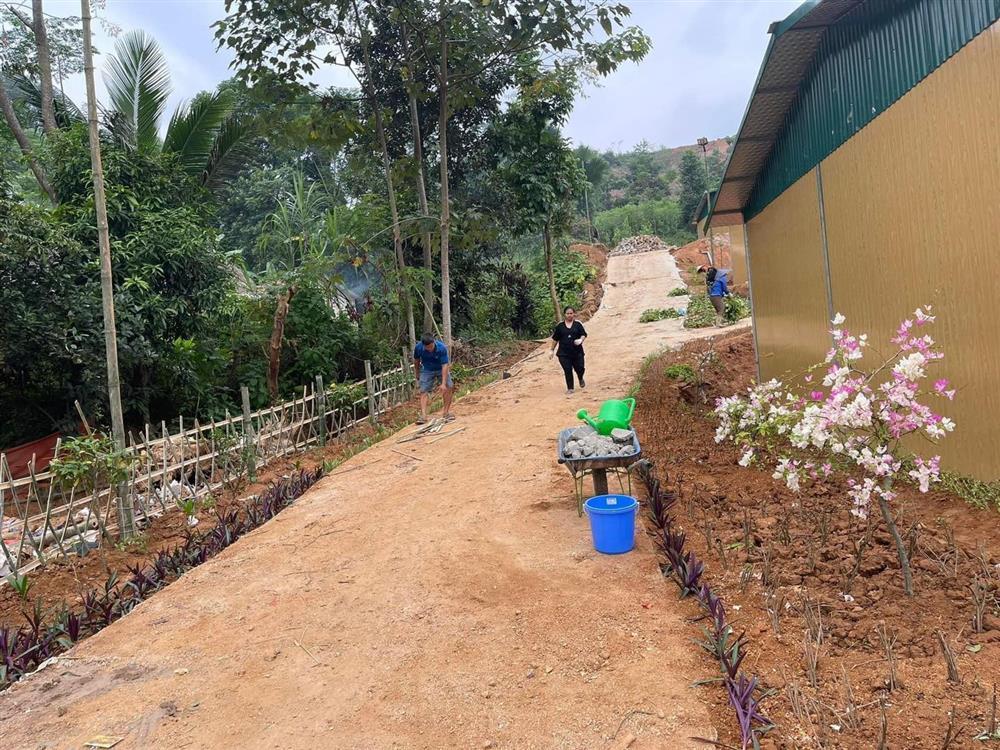 Sự hồi sinh của Làng Nủ: Những đóa hoa dần nở rộ từ mảnh đất từng bị vùi lấp bởi cơn lũ kinh hoàng-2