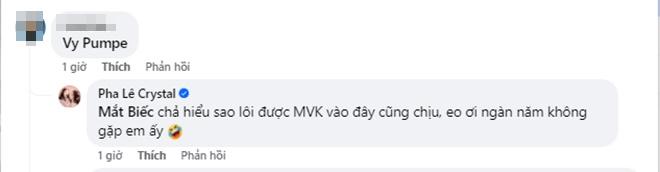 mvk3.jpg