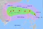 Diễn biến bất ngờ vụ người đàn ông 70 tuổi tử vong sau khi bị bồ đánh-2