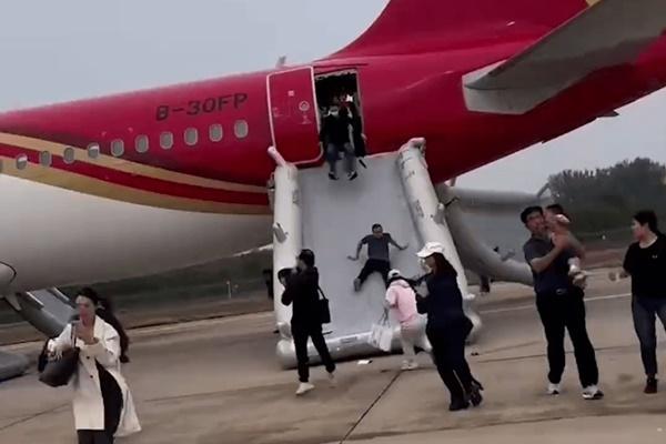 Hành khách bàng hoàng phát hiện chuột trên trần cabin máy bay-2