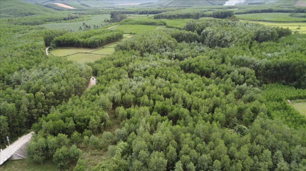 Chàng trai chăn bò nổi tiếng thế giới Sô Y Tiết tổ chức đám cưới, con trai 2 tuổi tham dự-4