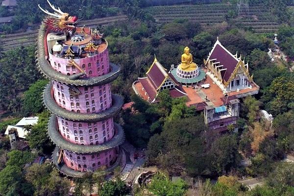 Triệt sản gần 2.000 hầu gia cướp thức ăn, đánh nhau với du khách-5