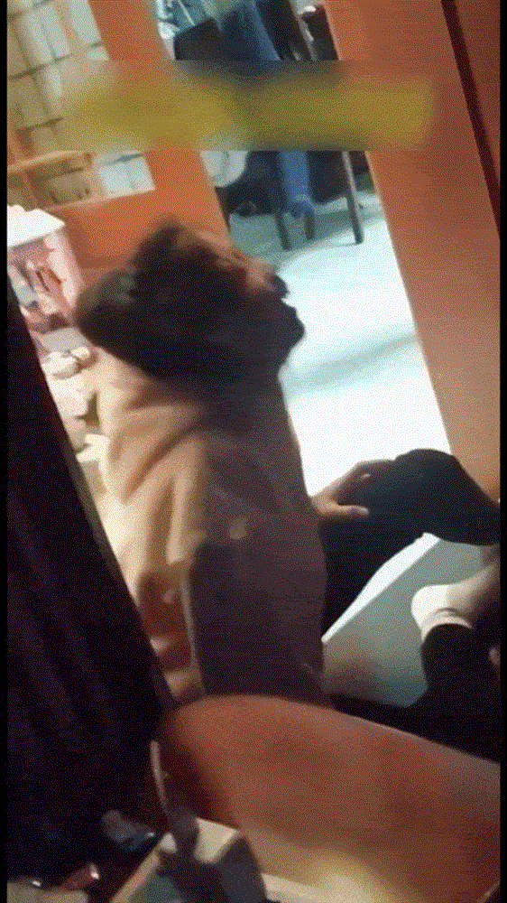 Đoạn video nữ sinh lớp 8 đột nhiên bật khóc nức nở lúc 3 giờ sáng khiến ai cũng đau lòng-1