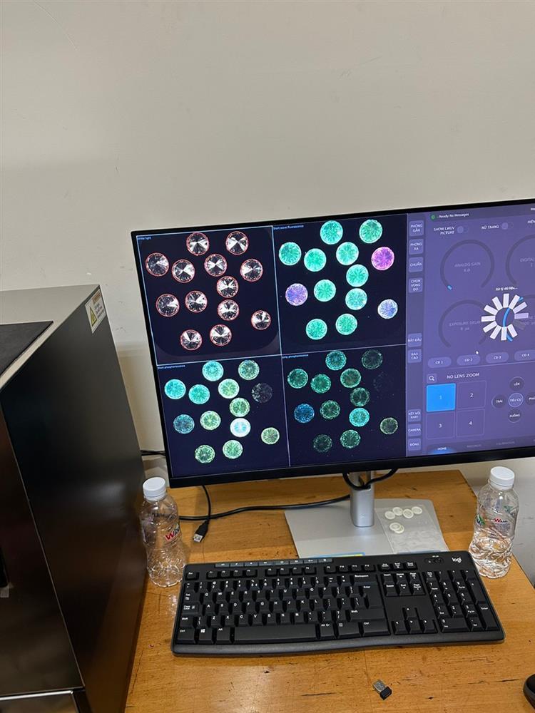 Khám phá vụ vận chuyển hơn 700 viên kim cương qua đường sân bay Tân Sơn Nhất-3