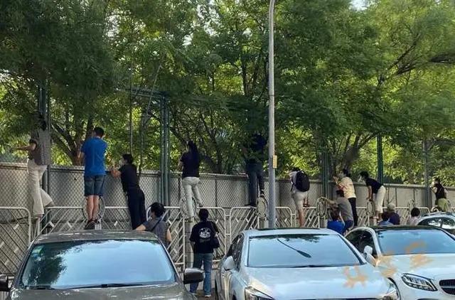 Khung cảnh một nhóm người đứng bám bờ tường nhòm ngó gây tranh cãi-1