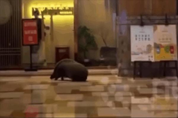 Ngủ khách sạn một đêm hết hơn 200 triệu đồng vì nhầm đồng won thành nhân dân tệ-3