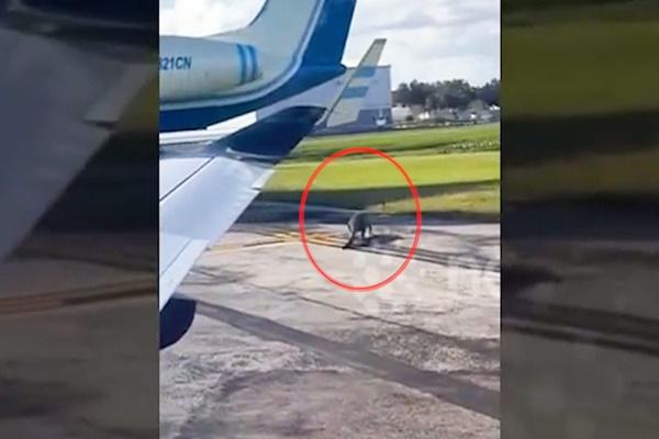 Mưa lũ lịch sử, hành khách tay cầm giày bì bõm lội nước trong sân bay-2