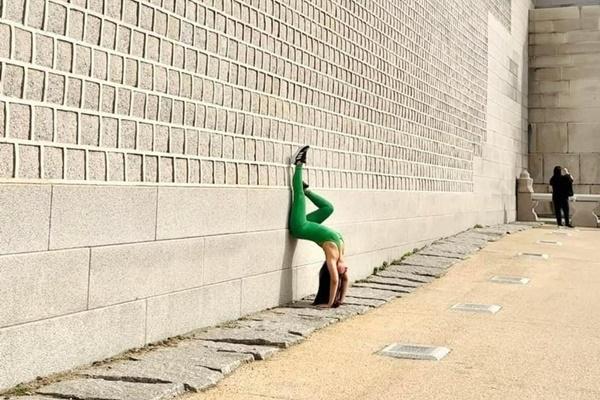 Truyền thông Hàn đồng loạt đưa tin vụ nữ du khách Việt tập yoga ở cung điện-4