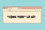 Trong từ điển gen Z, lò vi sóng là gì?-3