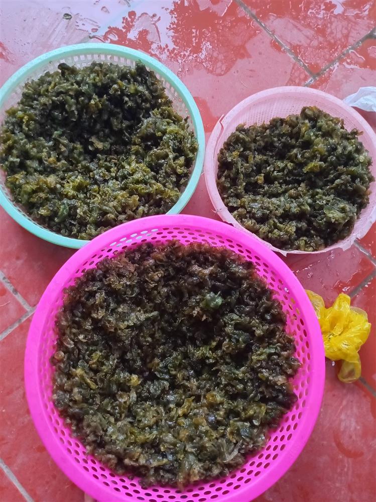 Đặc sản Ninh Bình mọc từ đá, chỉ có sau mưa rào, ăn vừa mát vừa giòn-1