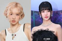 Mối quan hệ độc hại của Rosé (BLACKPINK) chính là Suzy?