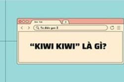 Giải mã từ điển gen Z: 'Kiwi Kiwi' là gì?