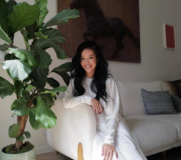 Vừa hé lộ mua tháp đôi cho 2 con song sinh, Diva Hồng Nhung lập tức được truy lùng về số căn nhà đẳng cấp đang sở hữu-8