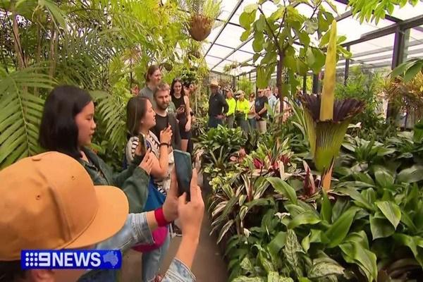 Chiếc thang lên thiên đường không dành cho du khách yếu tim-2