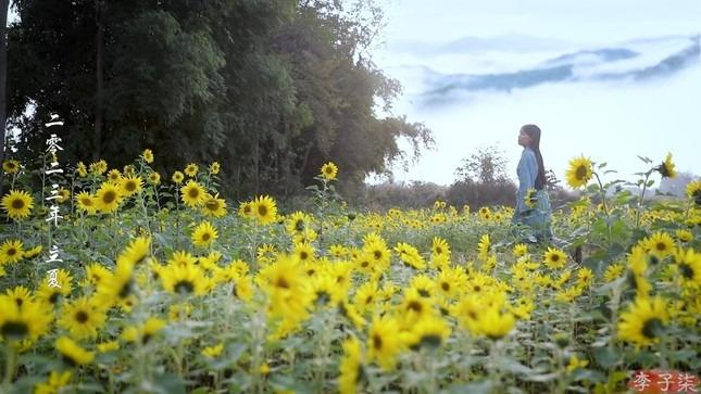 120 triệu người xem Lý Tử Thất trở lại-1