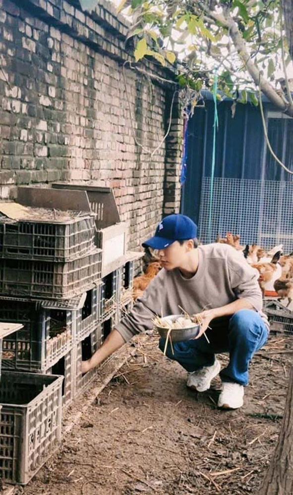 Sao nam đình đám 1 thời rời xa showbiz: Về quê trồng rau, nuôi gà... rảnh rỗi cắm hoa, thưởng thức cà phê-8