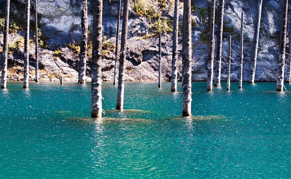 Bí ẩn rừng cây lộn ngược giữa hồ nước kỳ ảo-4