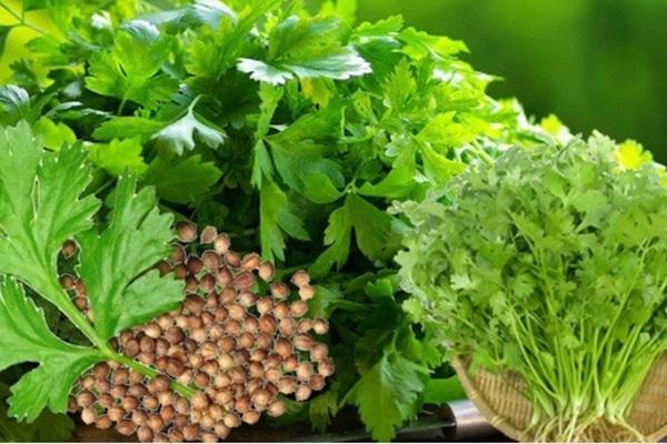 7 loại rau thơm tốt cho sức khoẻ nên ăn thường xuyên-2