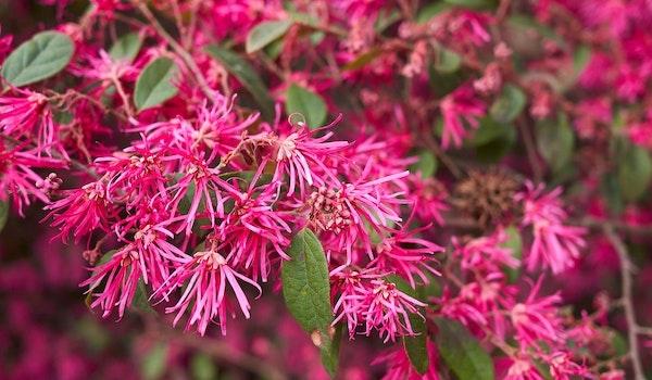 Sự nghiệp của 3 con giáp vô cùng sáng sủa, vươn lên giàu có trong 3 ngày 19, 20, 21 tháng 10 âm lịch-1