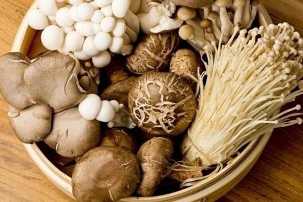 Cô gái phát hiện cây nấm khổng lồ nặng gần 5kg, ăn mãi mới hết-2