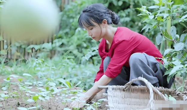 Lý do tiên nữ đồng quê Lý Tử Thất 34 tuổi vẫn còn độc thân?-4