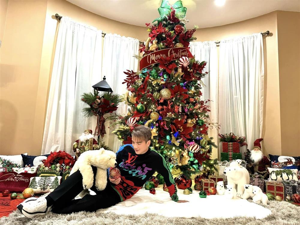 Giữa ồn ào kiện tụng, Đàm Vĩnh Hưng trang hoàng nhà đẹp tại Mỹ đón Noel-3