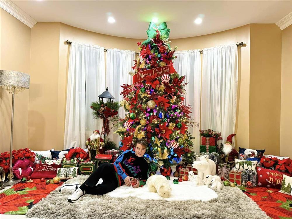 Giữa ồn ào kiện tụng, Đàm Vĩnh Hưng trang hoàng nhà đẹp tại Mỹ đón Noel-2