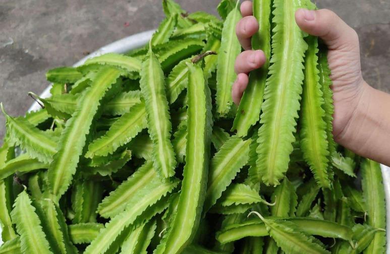 Loại quả nhìn như con sâu nhưng tốt cho sức khỏe, phòng ung thư-1