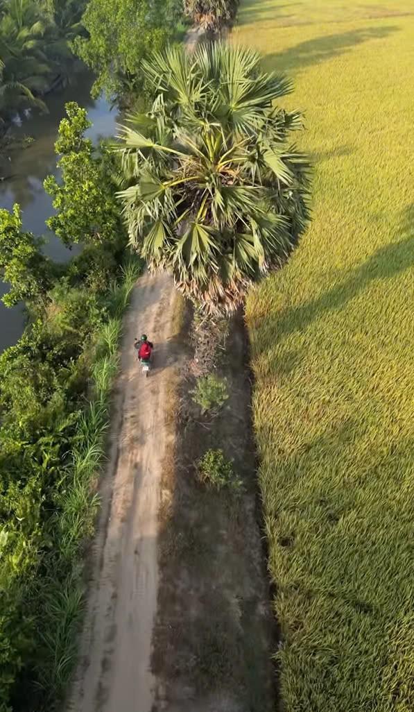 Giải mã hiện tượng đám giỗ bên cồn của Lê Tuấn Khang-6