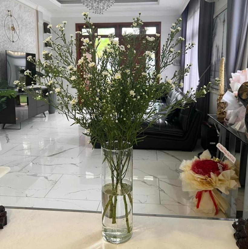 Cơ ngơi triệu đô của sao Việt: Cẩm Ly làm nông dân trong biệt thự hơn 20 tỷ đồng-3