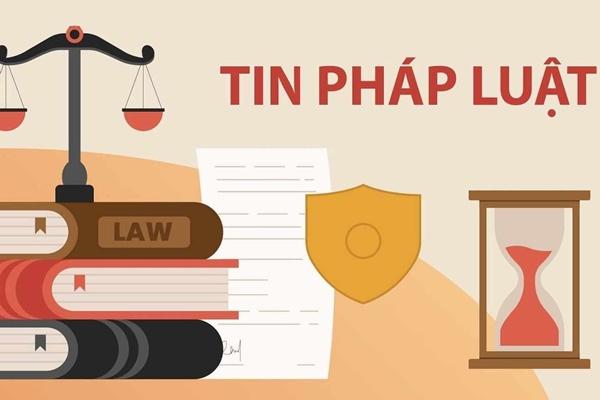 Nổi lên tình trạng lừa đảo, tống tiền đại gia, người có địa vị xã hội-2