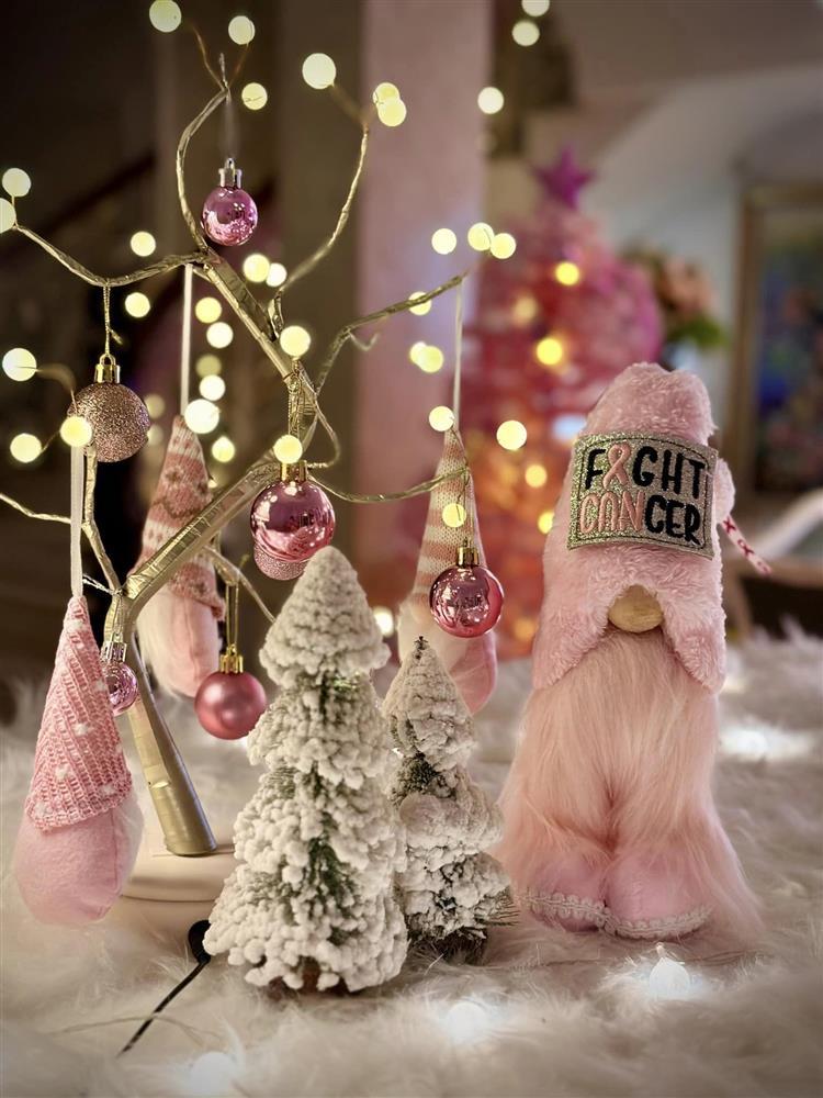 Nghệ sĩ Việt trang hoàng nhà cửa đón Noel, đầu tư khủng nhất là Thuý Hạnh-9