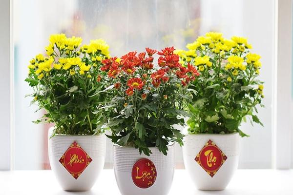 Mẹo trang trí nhà cửa đón Tết 2025 đơn giản mà cực đẹp, thu hút tài lộc-3