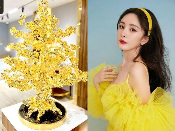 Dự đoán 9 ngày tới (5/12 - 13/12/2024), 3 con giáp hỷ sự triền miên, tình tiền đều vượng-1