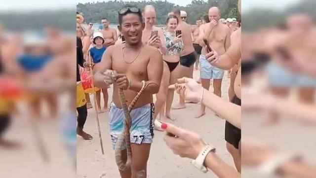 Đang tắm biển, du khách hoảng loạn khi bắt gặp cảnh đáng sợ-1