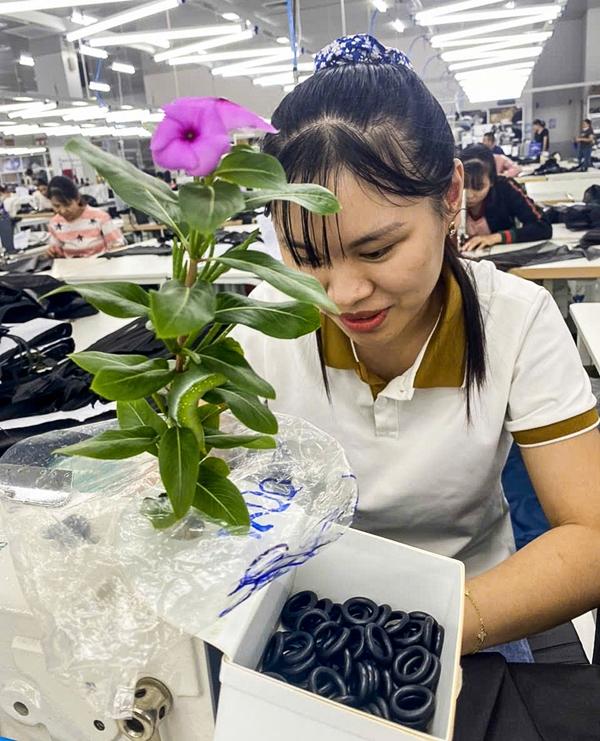 Nữ công nhân ở Hà Nam có ‘thú cưng’ đặc biệt, cả công ty xôn xao-3