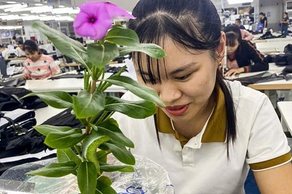 Chú chó có chủ mất trong vụ máy bay Jeju Air hành xử lạ khi dự lễ tưởng niệm-4