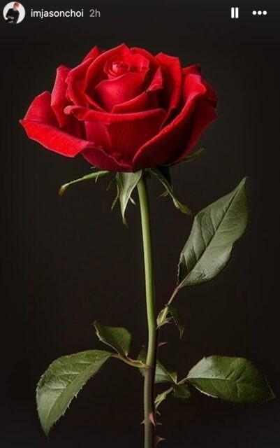 Danh tính người yêu độc hại của Rosé (BlackPink)-3