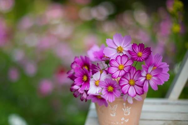 Khung giờ đẹp động thổ, khai trương, xuất hành tuần mới đem lại nhiều tài lộc-2